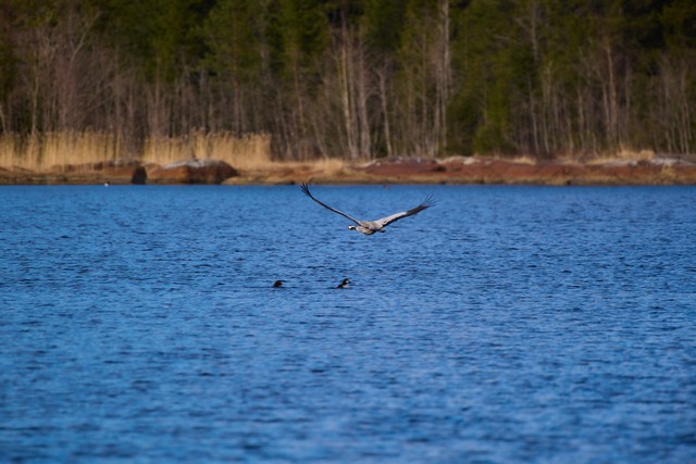 Panasonic S 100-400mm_1w.jpg