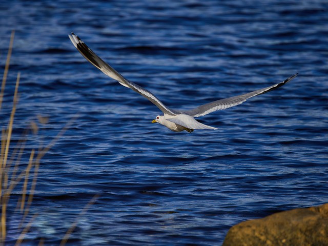 OM System 100-400mm_10w.jpg
