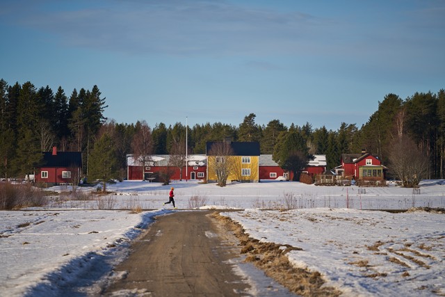 Laowa 180mm f4.5 Macro_18w.jpg