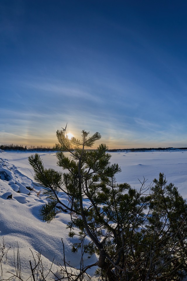 Canon RF 7-14mm_15w.jpg