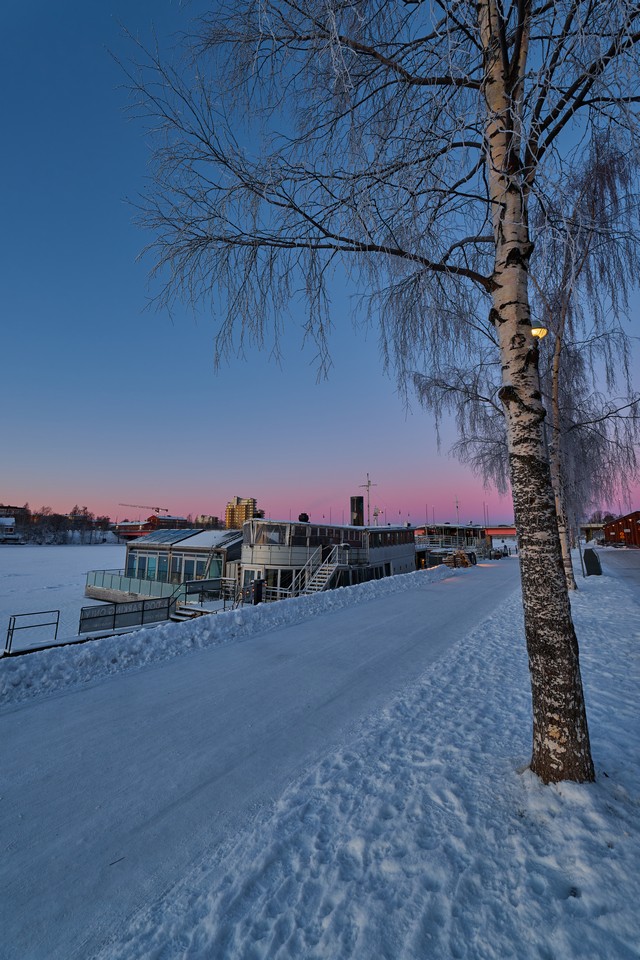 Canon RF 14mm f1.4L VCM_30w.jpg