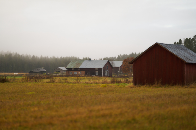 Sigma 135mm f1.4_20w.jpg