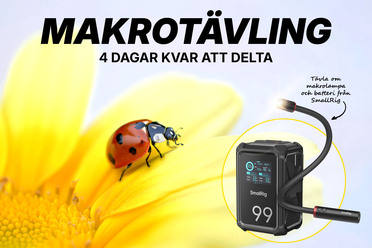 makrotävling_blogg_v2.jpg