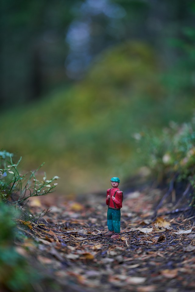 Sigma 85mm f1.2_5w.jpg