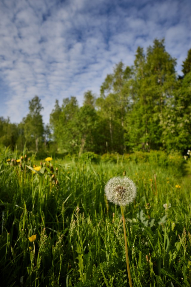 Canon RF-S 10-18mm_1w.jpg