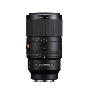 FE 100mm f/2,8 Macro GM OSS (fullformat)