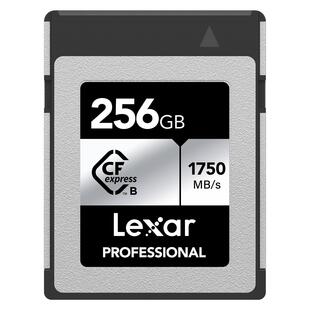 CFexpress 256GB Pro Silver, R1750/W1300 Typ B