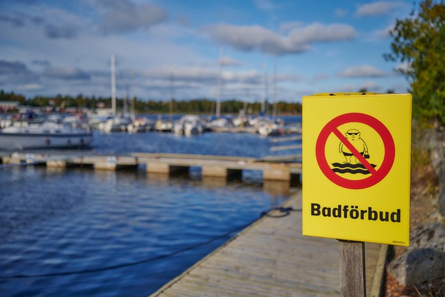 Nikon Z 24-70mm f2.8 II_17w.jpg