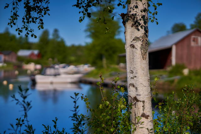 Tokina 85mm 1.8 Sony_17w.jpg