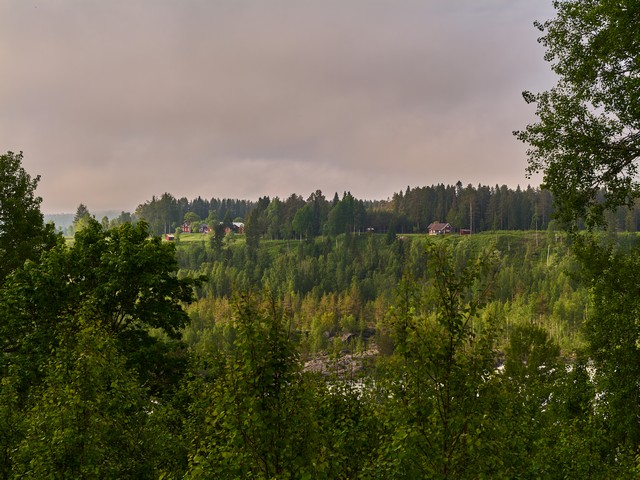 Voigtlander 29mm f56_29w.jpg