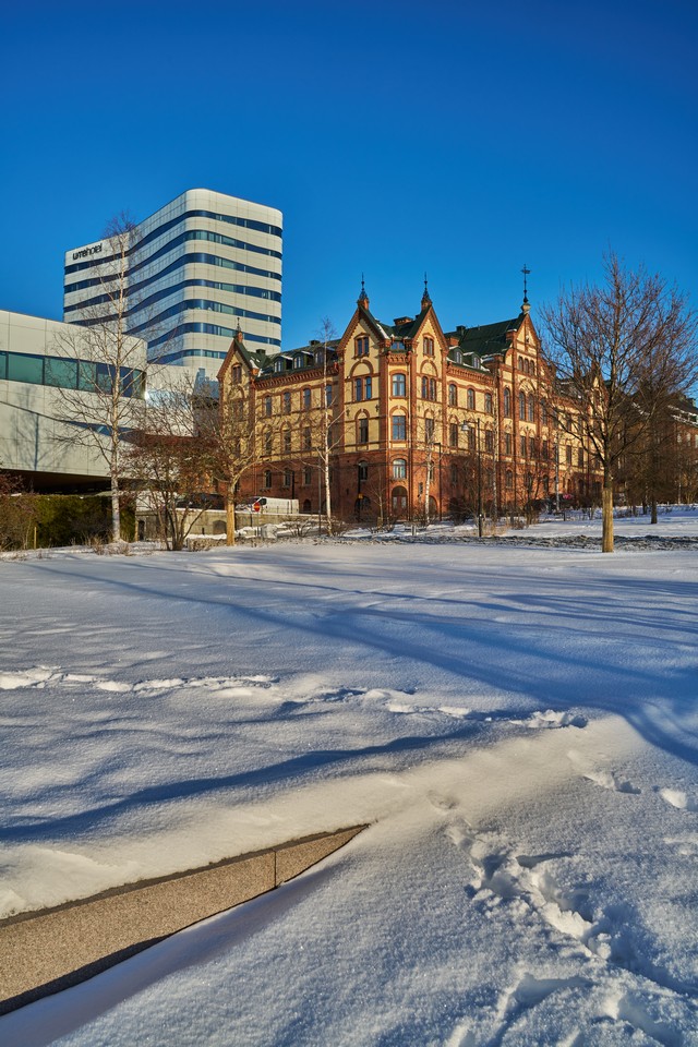 Laowa 28mm f1.2_17f11w.jpg