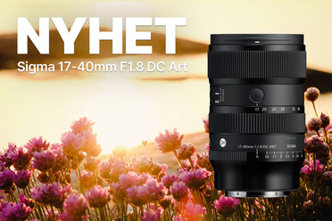 sigma1740_18.jpg