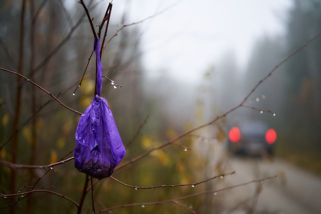 Sigma 35mm f1.2 II_16w.jpg