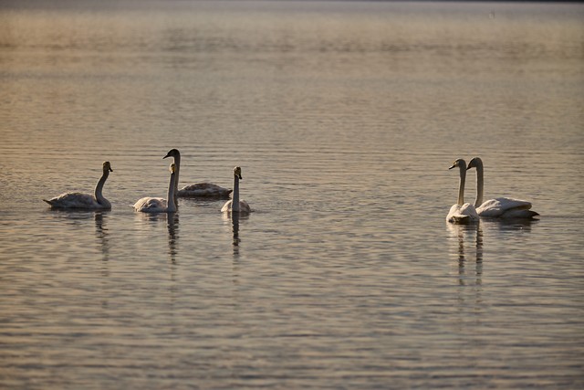 Panasonic S 100-400mm_4w.jpg