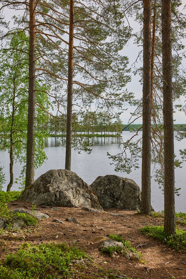 Panasonic S40mm_19w.jpg