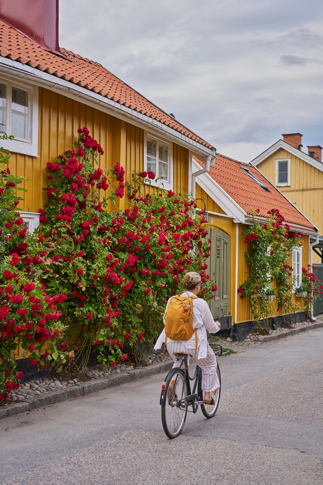 Sony FE 55mm f1.8_15w.jpg