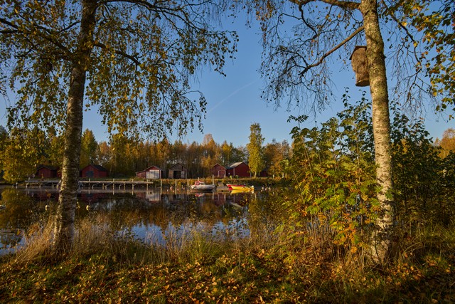 Sigma 20-200mm DG C_12w.jpg