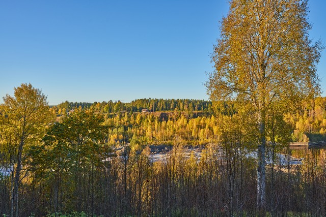 Sigma 20-60mm f2.8_4_29w.jpg