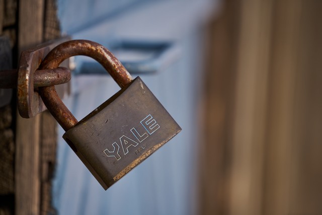 Laowa 180mm f4.5 Macro_5w.jpg