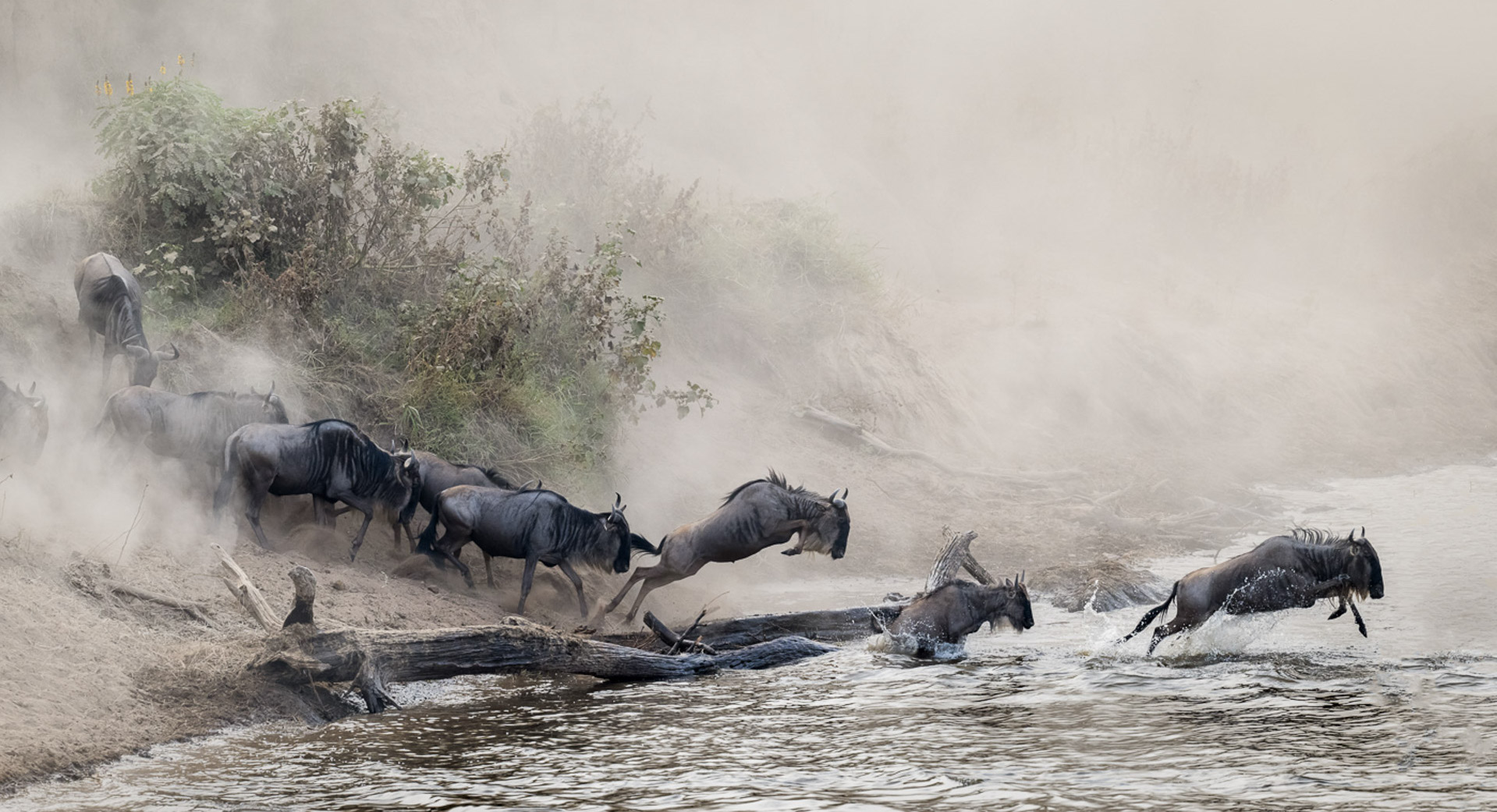 Masi-Mara-offroda-24.jpg
