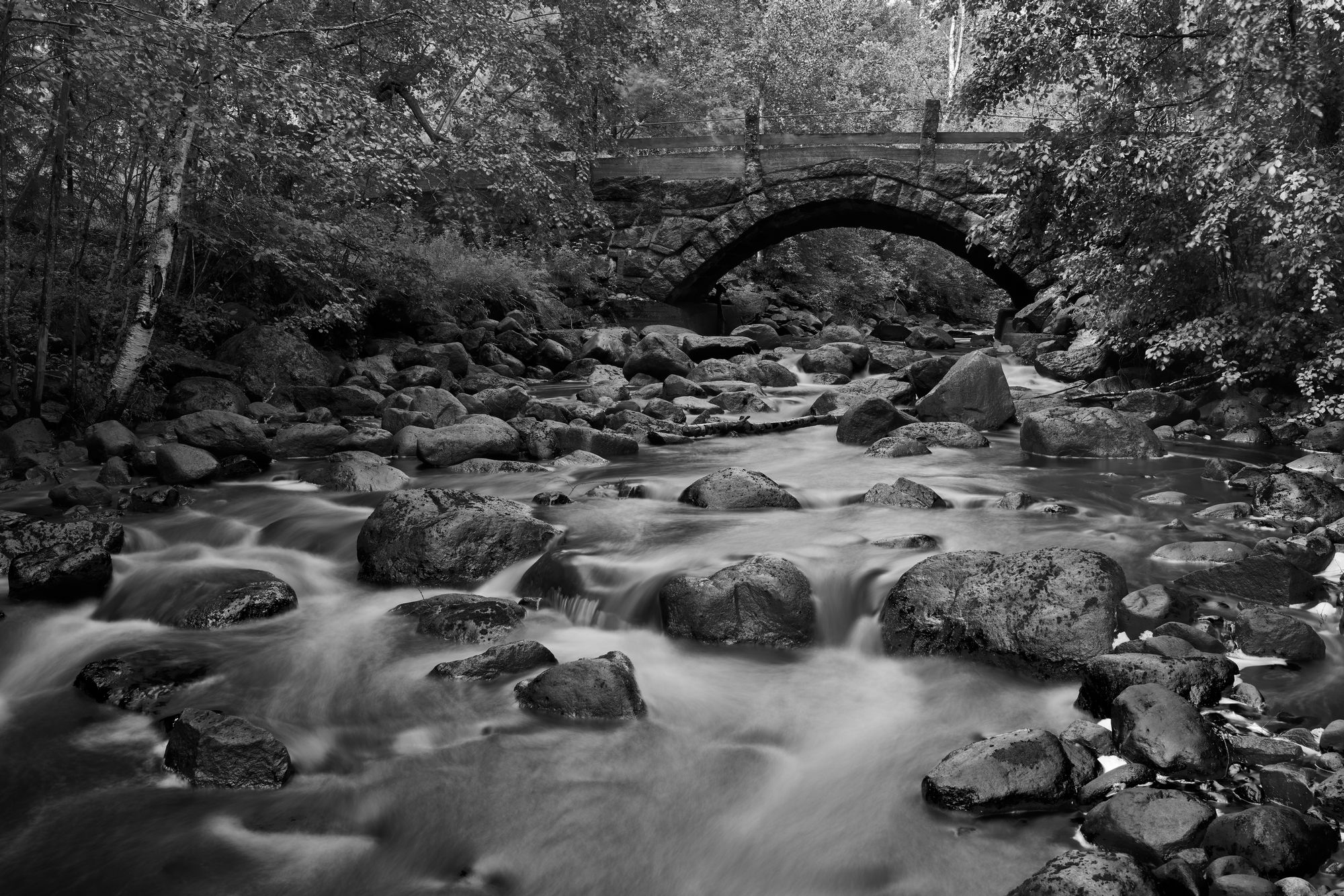 Canon RF 35mm f1.4 VCM_blogg2.jpg