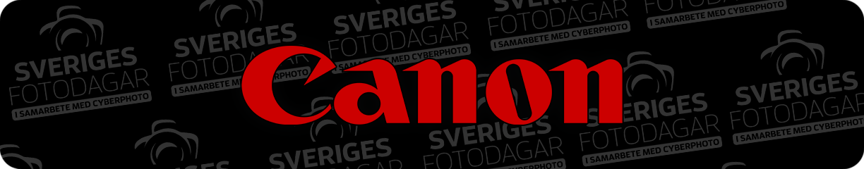 UFD_CanonV2.png
