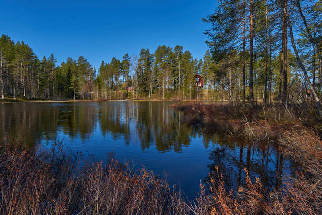 Samyang 12mm f2_14w.jpg