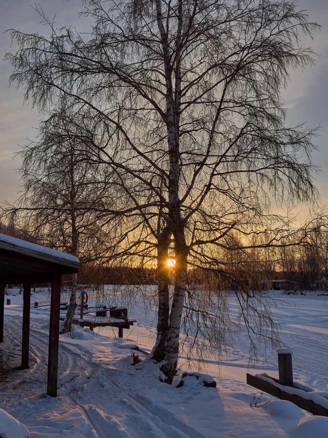 OM System OM 5 II_13w.jpg