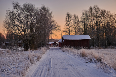 NikonZ DX 16-50mm f2.8_blogg1.jpg