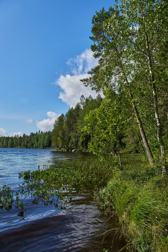 Sigma 17-40mm f1.8_10w.jpg