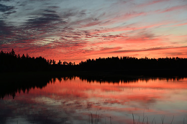 DSC_2041_blogg.jpg