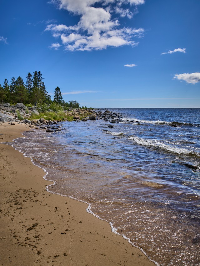 Panasonic Lumix DC L10_27w.jpg