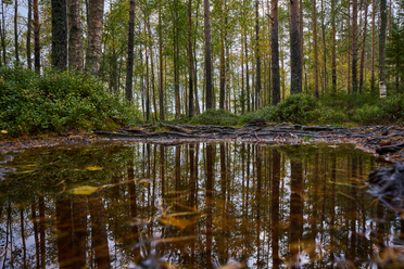 Viltrox 15mm f1.7_blogg1.jpg