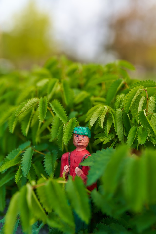 Viltrox 55mm f1.8 EVO_11w.jpg