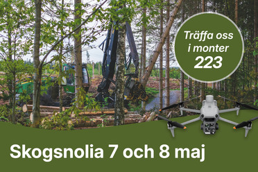 Skogsnolia2026_blogg.jpg