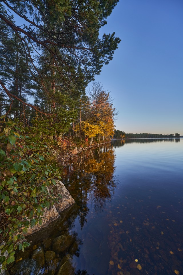 Viltrox 14mm f4_15w.jpg