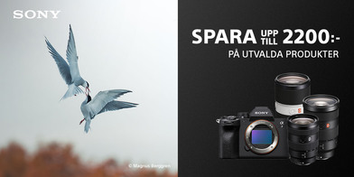 Spara2200_sonysummer.jpg