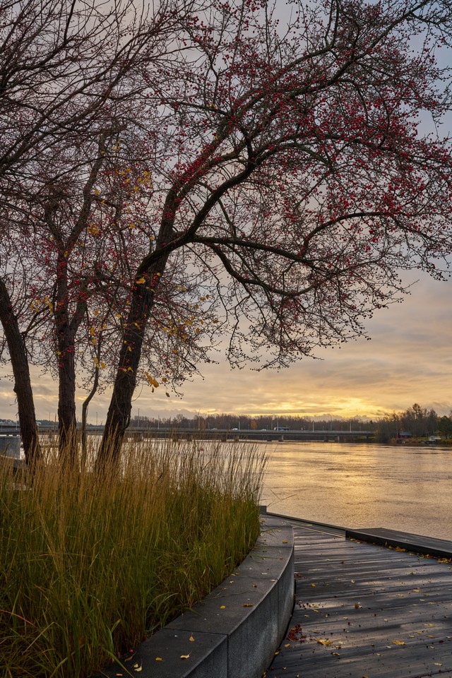 Sigma 35mm f1.2 II_22w.jpg