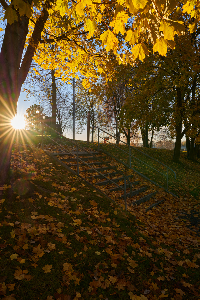 Sigma 24mm f1.4 DN so_13w.jpg