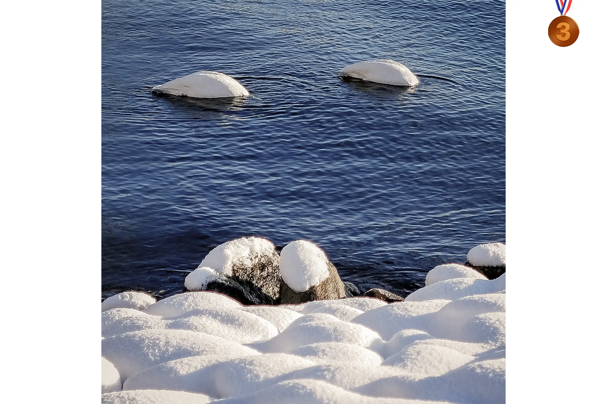 FågeltävlingVinnare_blogg3.webp