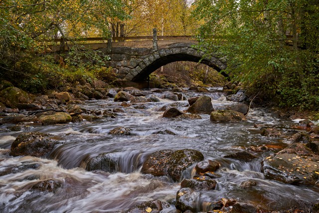 Sigma 20-60mm f2.8_4_9w.jpg