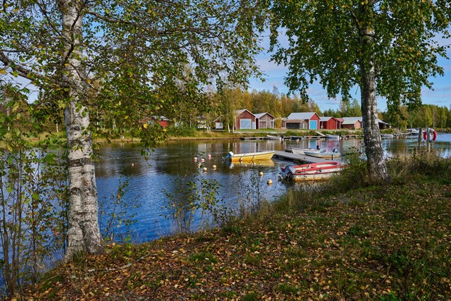 Nikon Z 24-70mm f2.8 II_15w.jpg