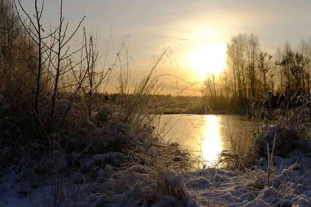 Fujifilm_X Pro3_25w.jpg