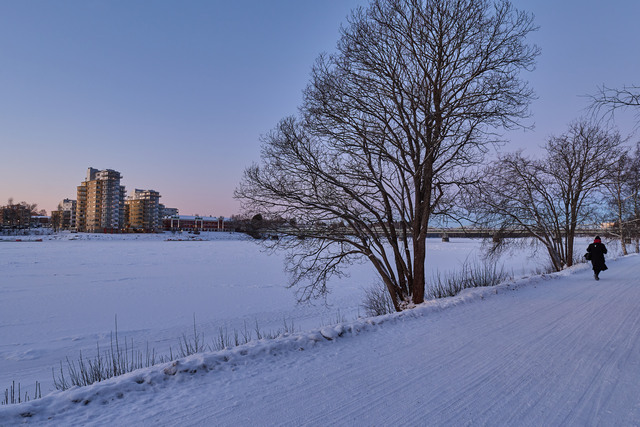 Panasonic S1 MK2_2w.jpg