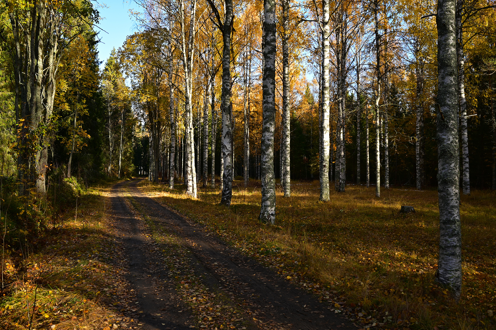 DSC_0578.JPG