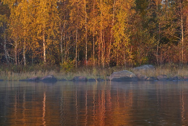 Viltrox 56mm f1.2_1w.jpg