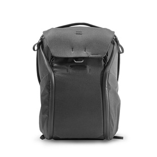 Everyday Backpack V2, Ryggsäck 20L - svart