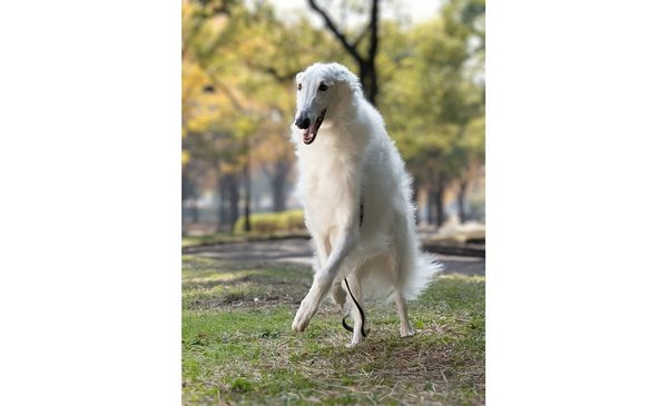 xperia1iii_15.jpg