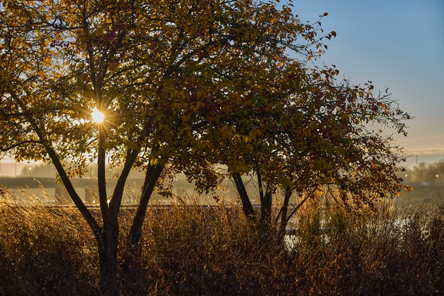 Viltrox 85mm f1.4 PRO_3w.jpg