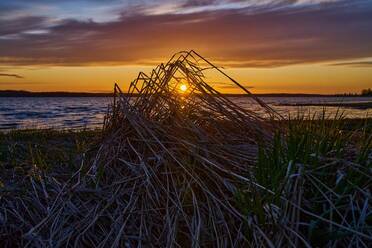 Samyang 35-150mm_blogg 1.jpg